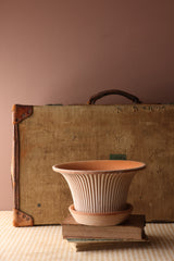 Daisy Terracotta Plant Pot & Saucer Set