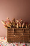 Dried Protea Pink