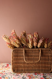 Dried Protea Pink